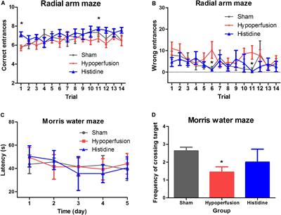 Histidine Alleviates Impairments Induced by Chronic <mark class="highlighted">Cerebral Hypoperfusion</mark> in Mice